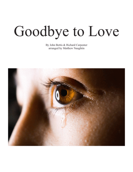 Goodbye To Love image number null