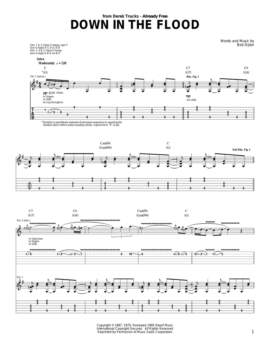 Down In The Flood Down In The Flood Acoustic Guitar scores gallery preview page 1