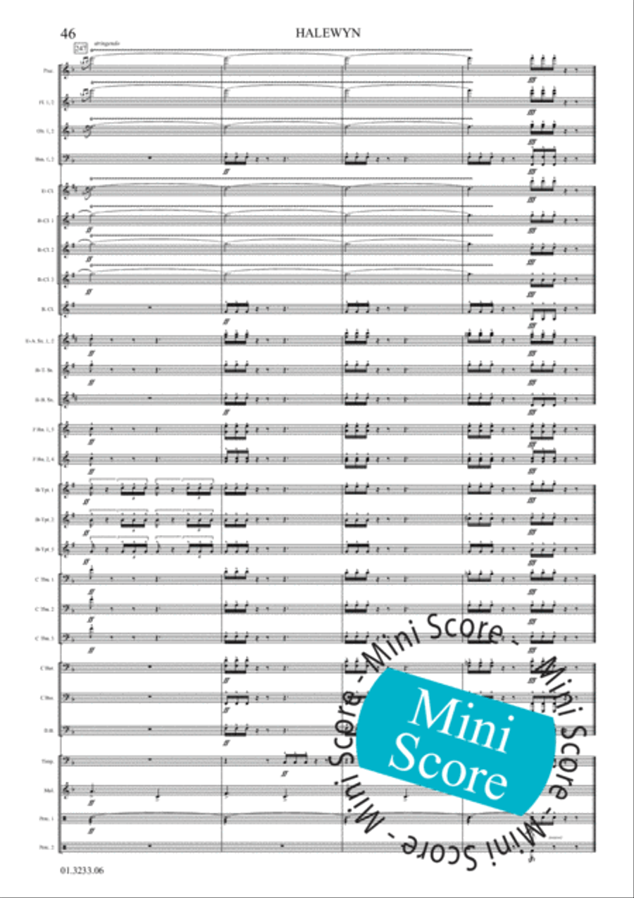 Halewijn Concert Band scores gallery preview page 52