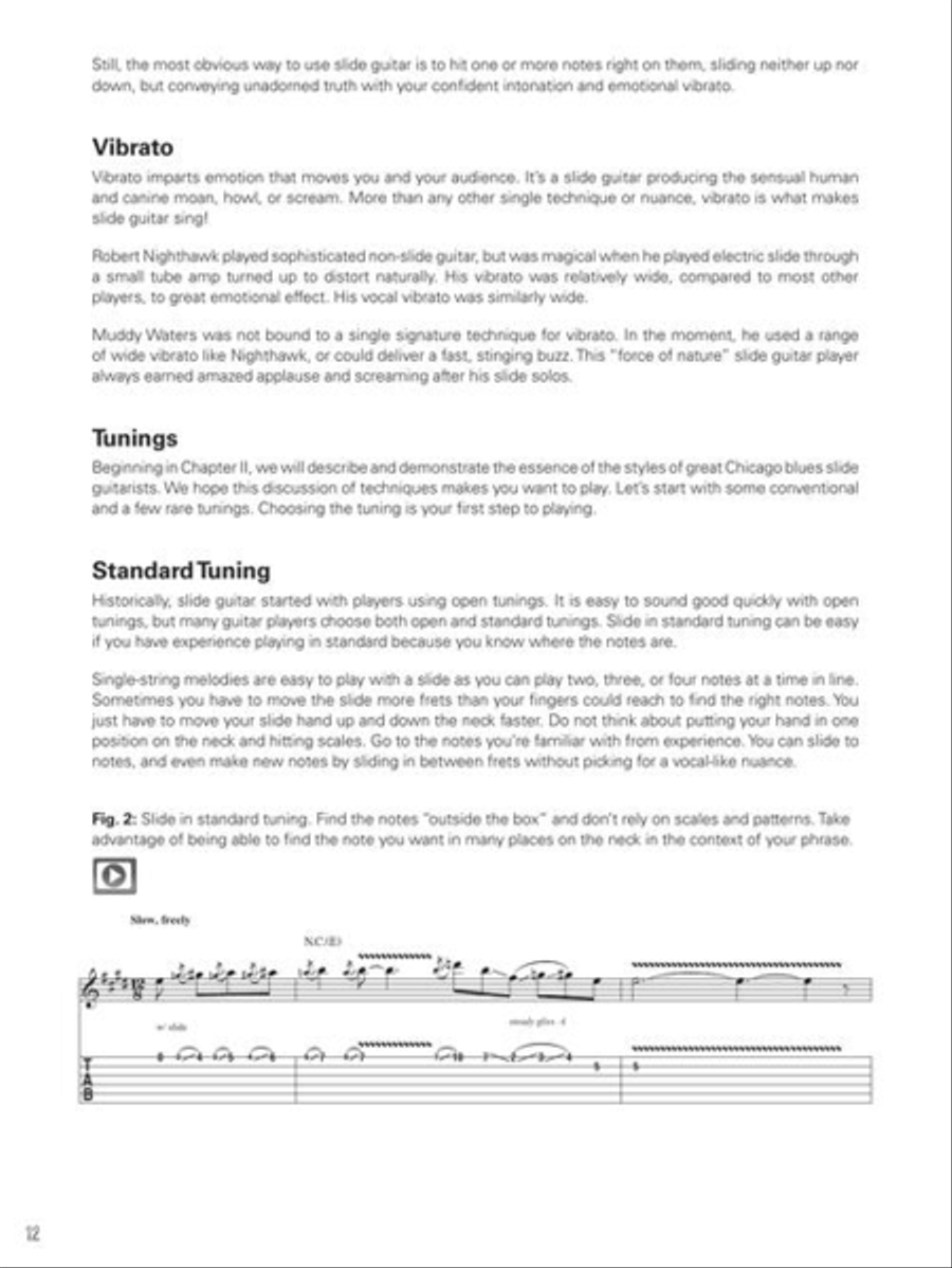 Chicago Blues Slide Guitar Electric Guitar scores gallery preview page 12