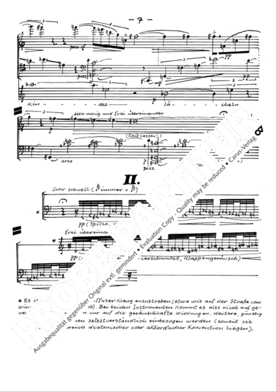 Todesblumen Flute scores gallery preview page 10