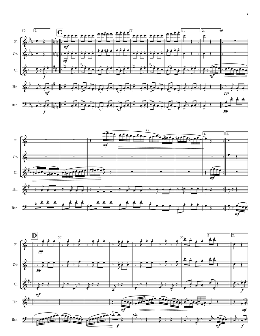 RONDO ALLA TURCA for Woodwind Quintet Woodwind Quintet scores gallery preview page 3