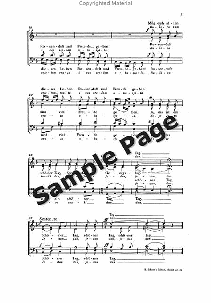 Vater Mutter Eilt Herbei Mixed Choir scores gallery preview page 4