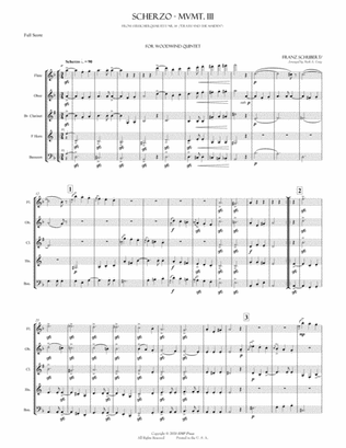 Schubert: Scherzo from String Quartet No. 14 "Death & the Maiden"