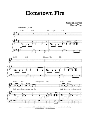 Book cover for Hometown Fire