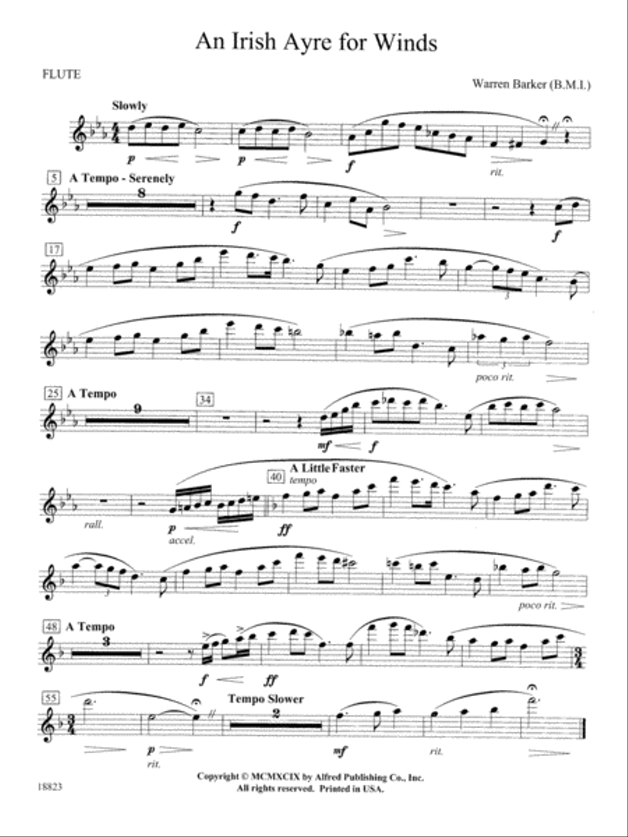 Irish Ayre for Winds: Flute Concert Band scores gallery preview page 1