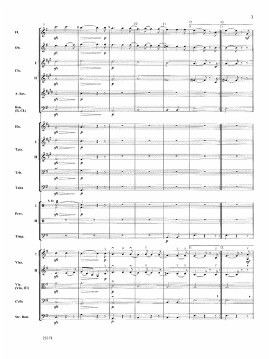 The Moldau: Score Full Orchestra scores gallery preview page 3