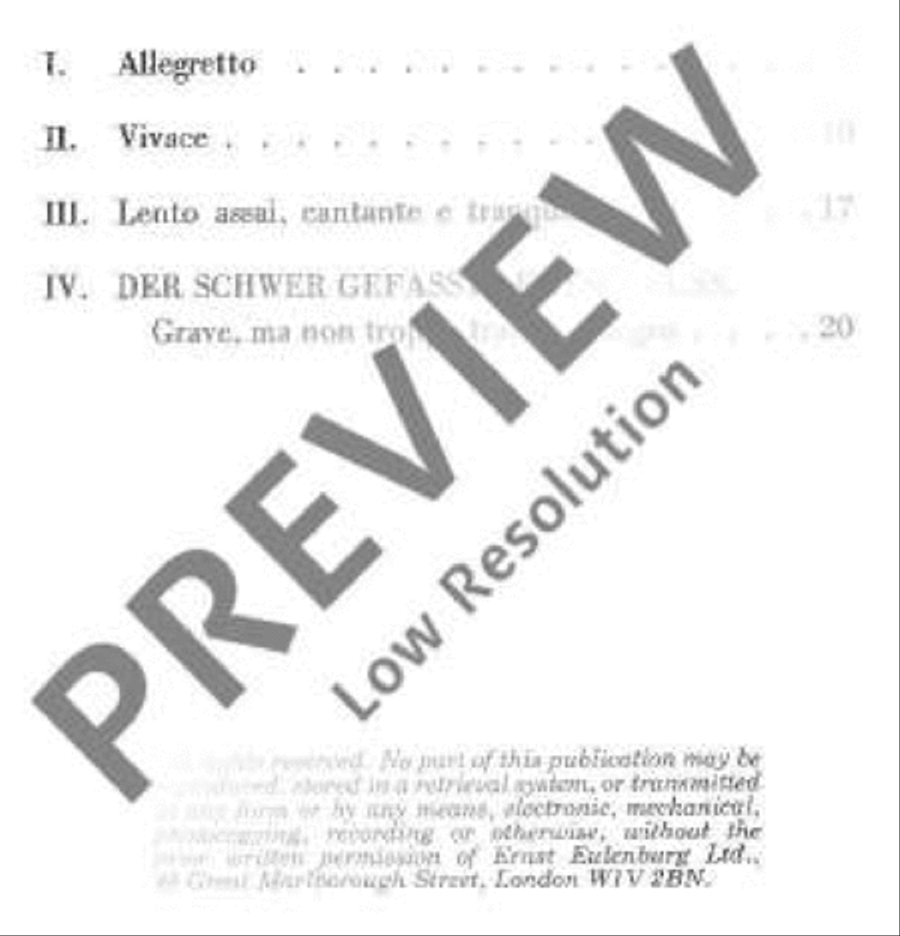 String Quartet F major String Quartet scores gallery preview page 3