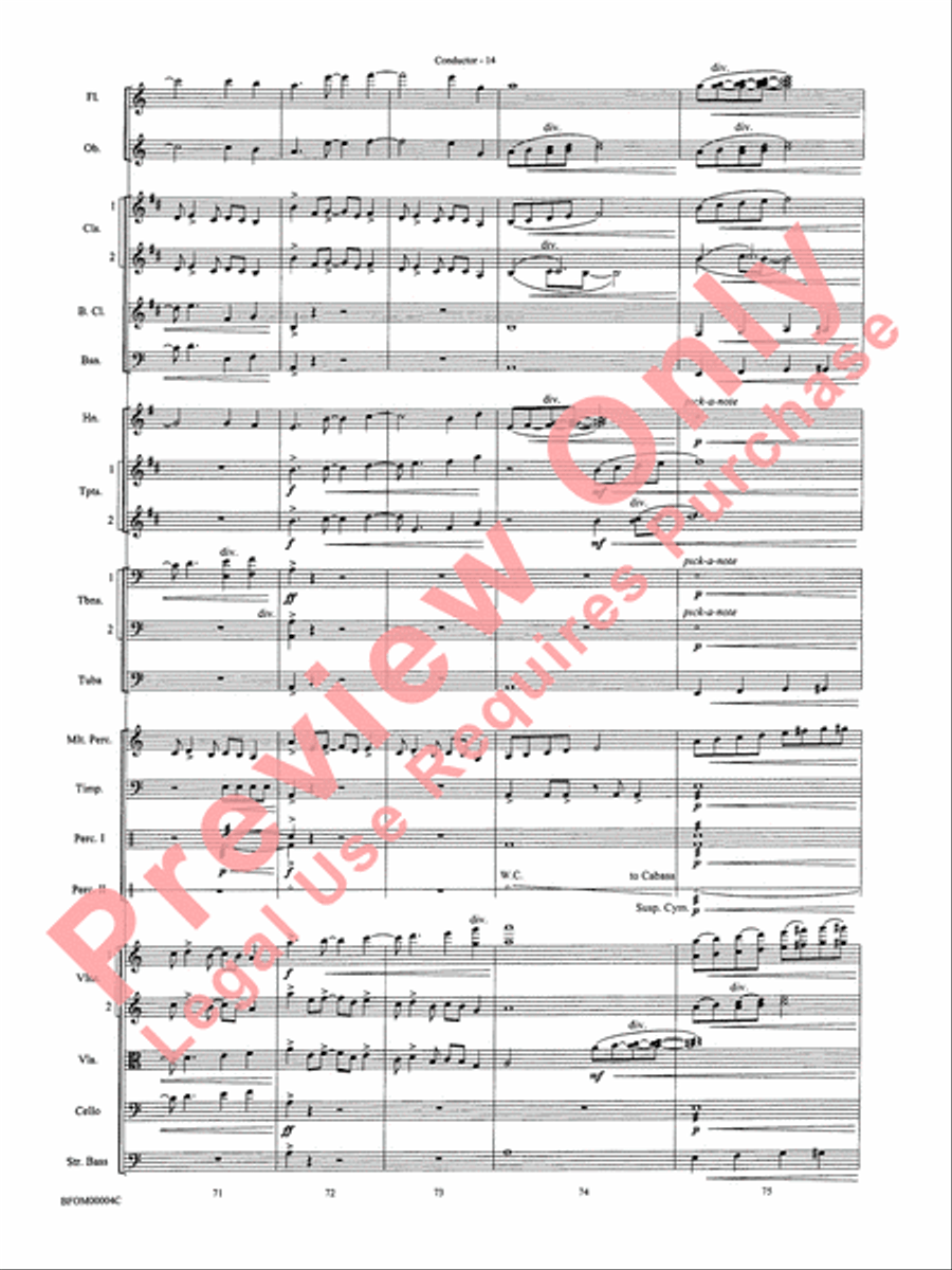 Rites of Tamburo Full Orchestra scores gallery preview page 17