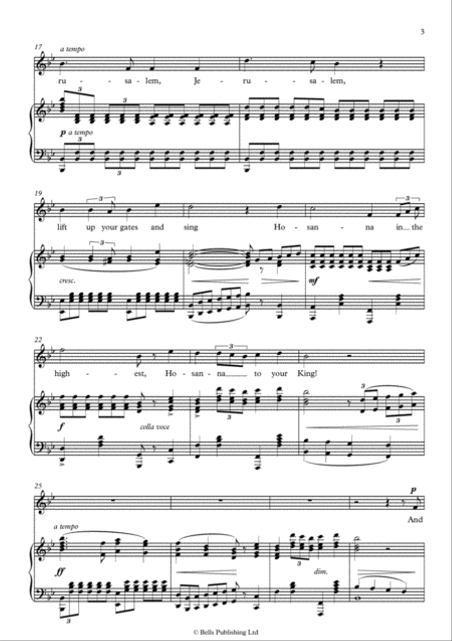 The Holy City (Original key. B-flat Major) Voice Solo scores gallery preview page 3