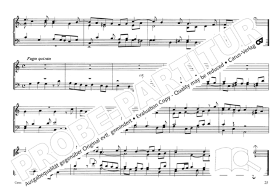 Musikalischer Blumenstrauss Organ Solo scores gallery preview page 28