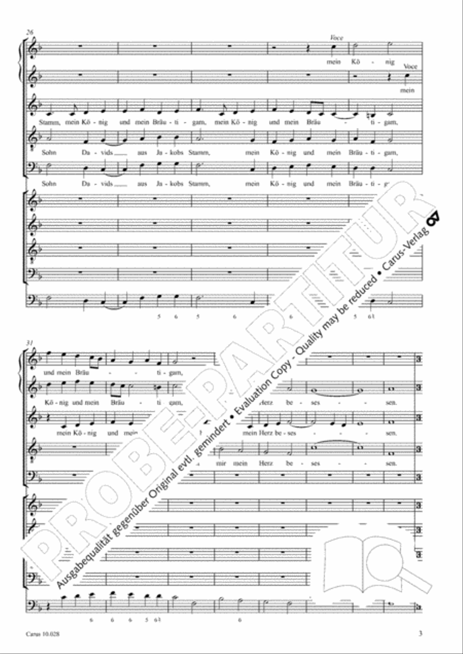 How brightly beams the morning star (Wie schon leuchtet der Morgenstern) SSATB scores gallery preview page 8