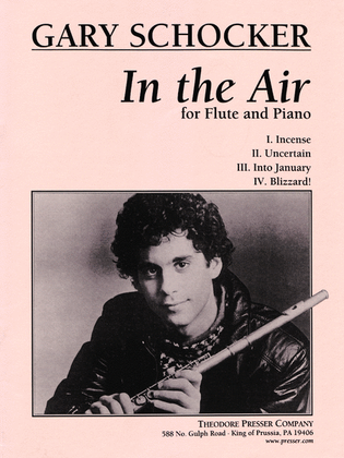 Book cover for In the Air