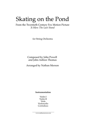 Book cover for Skating On The Pond
