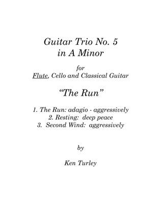 Guitar Trio No. 5 in A Minor with Flute and Cello "The Run"