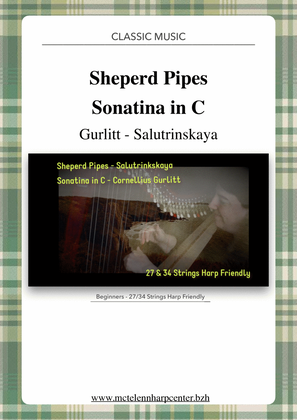 Sheperd Pipes by Salutrinkskaya / Sonatina in C by Gurlitt - beginner & 27/34 String Harp | McTelen