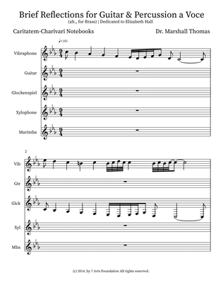 Brief Reflections for Guitar & Percussion a Voce