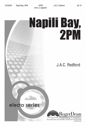 Book cover for Napili Bay, 2PM