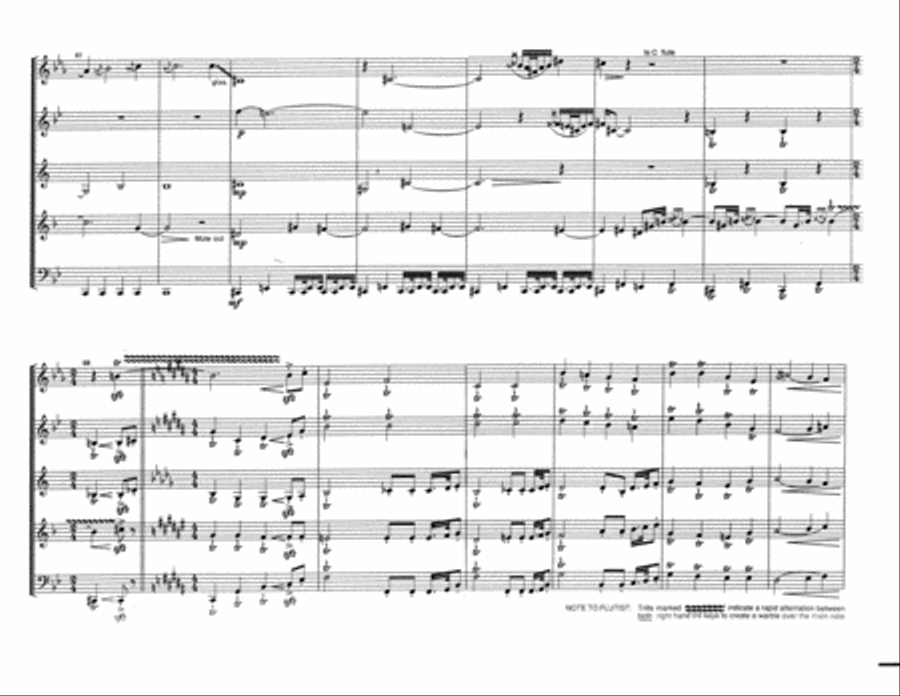 Virtues In Bewilderment for Wind Quintet Woodwind Quintet scores gallery preview page 5