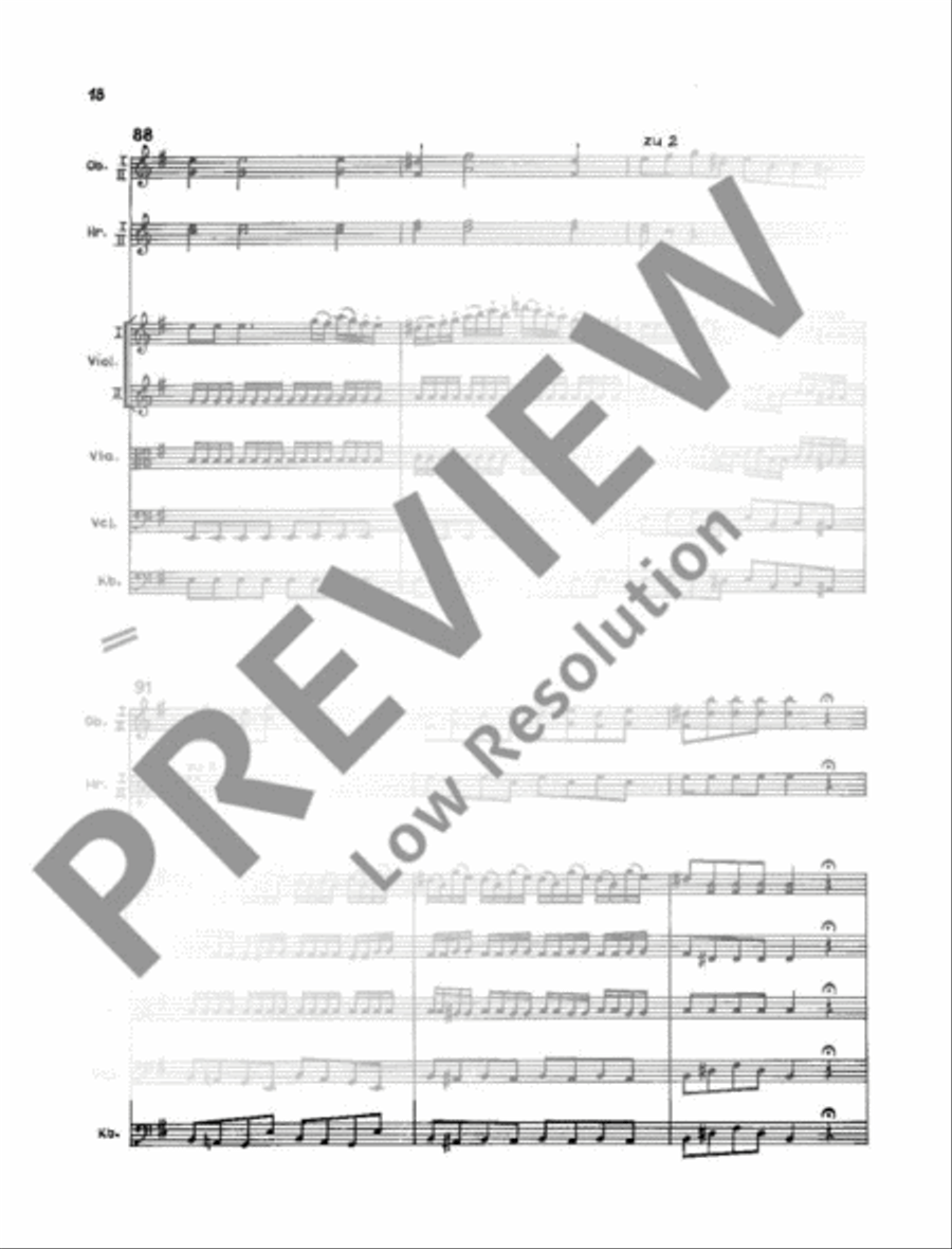 Concerto E Minor Concerto E Minor Orchestra scores gallery preview page 19