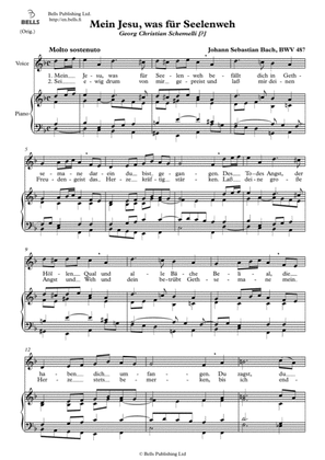 Mein Jesu, was fur Seelenweh, BWV 487 (Original key. D minor)