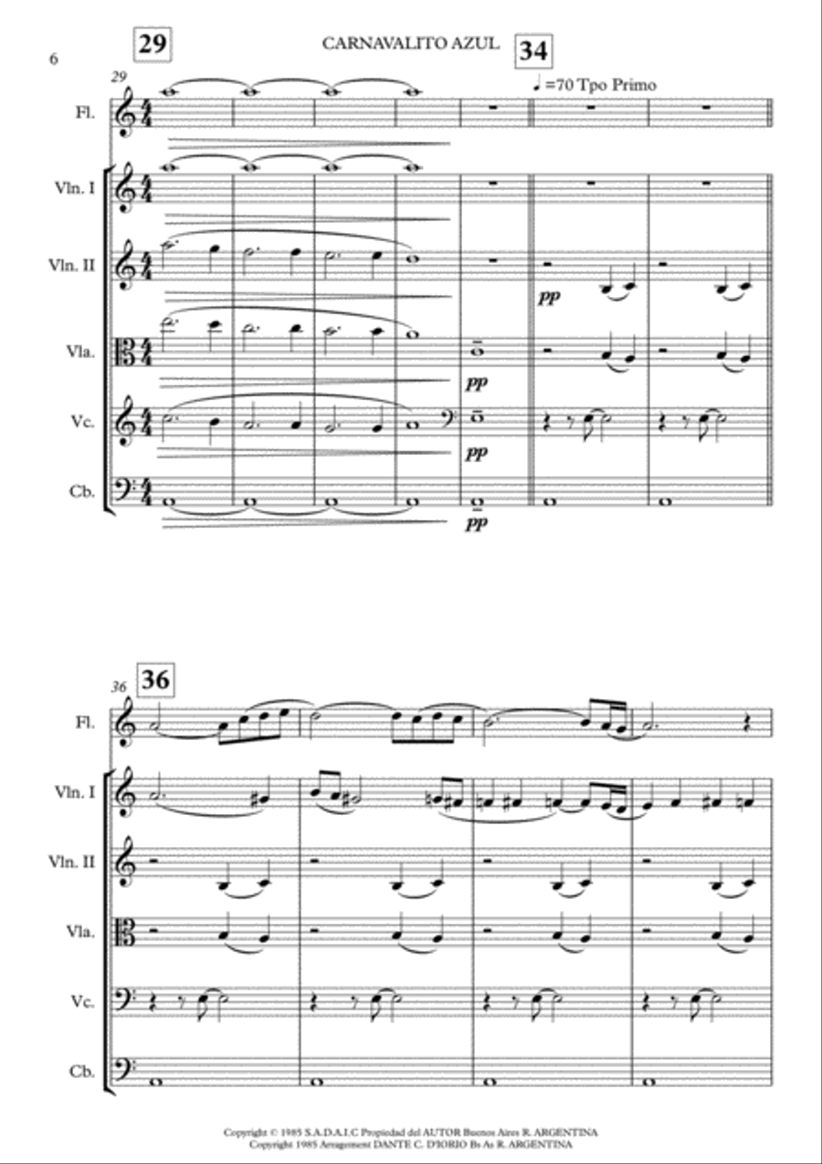 Carnavalito Azul - Folclore Argentino String Orchestra scores gallery preview page 6