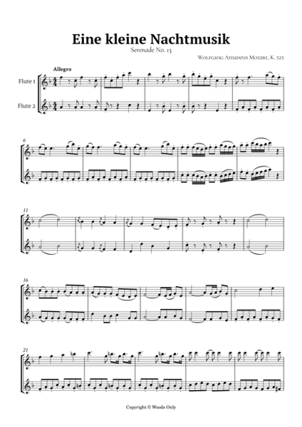 Eine kleine Nachtmusik in F Major by Mozart K 525 for Flute Duet image number null