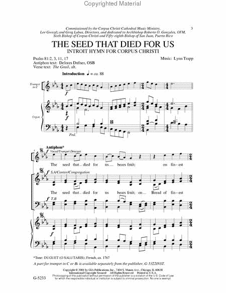 The Seed That Died for Us image number null