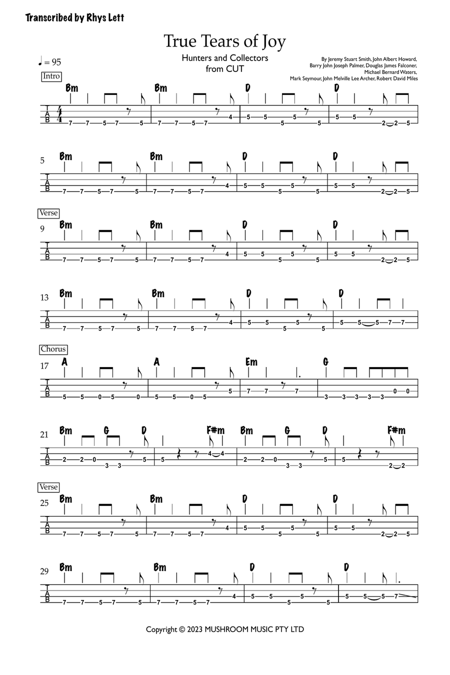 Tears Of Joy Tears Of Joy Acoustic Guitar scores gallery preview page 1