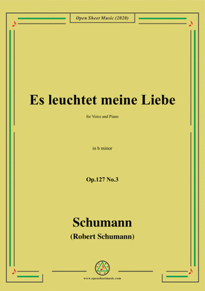 Book cover for Schumann-Es leuchtet meine Liebe Op.127 No.3,in b minor