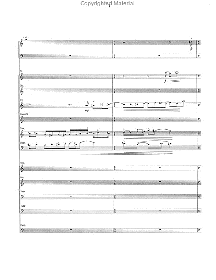 Chamber Symphony No. 1 Bassoon scores gallery preview page 8
