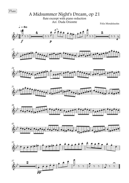 FLUTE Excerpt - A Midsummer Night's Dream Scherzo (WITH piano) image number null