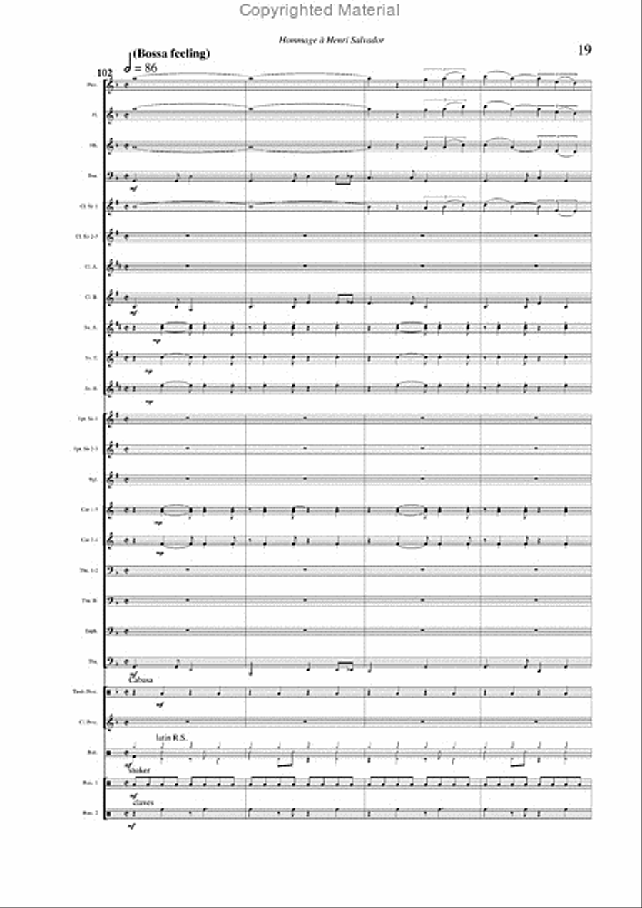 Salvador Medley Concert Band scores gallery preview page 12
