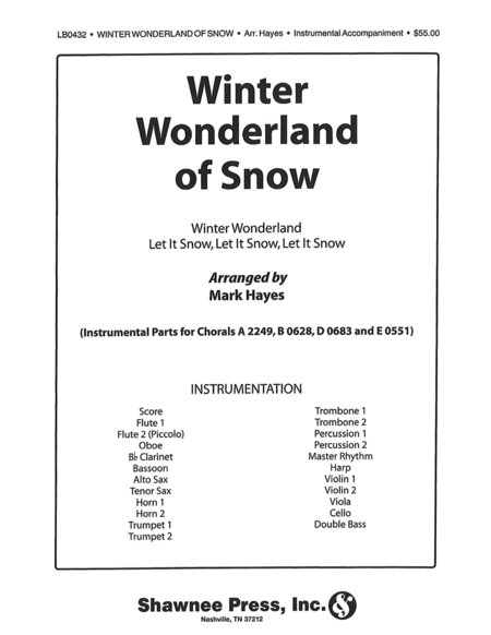 Winter Wonderland of Snow image number null