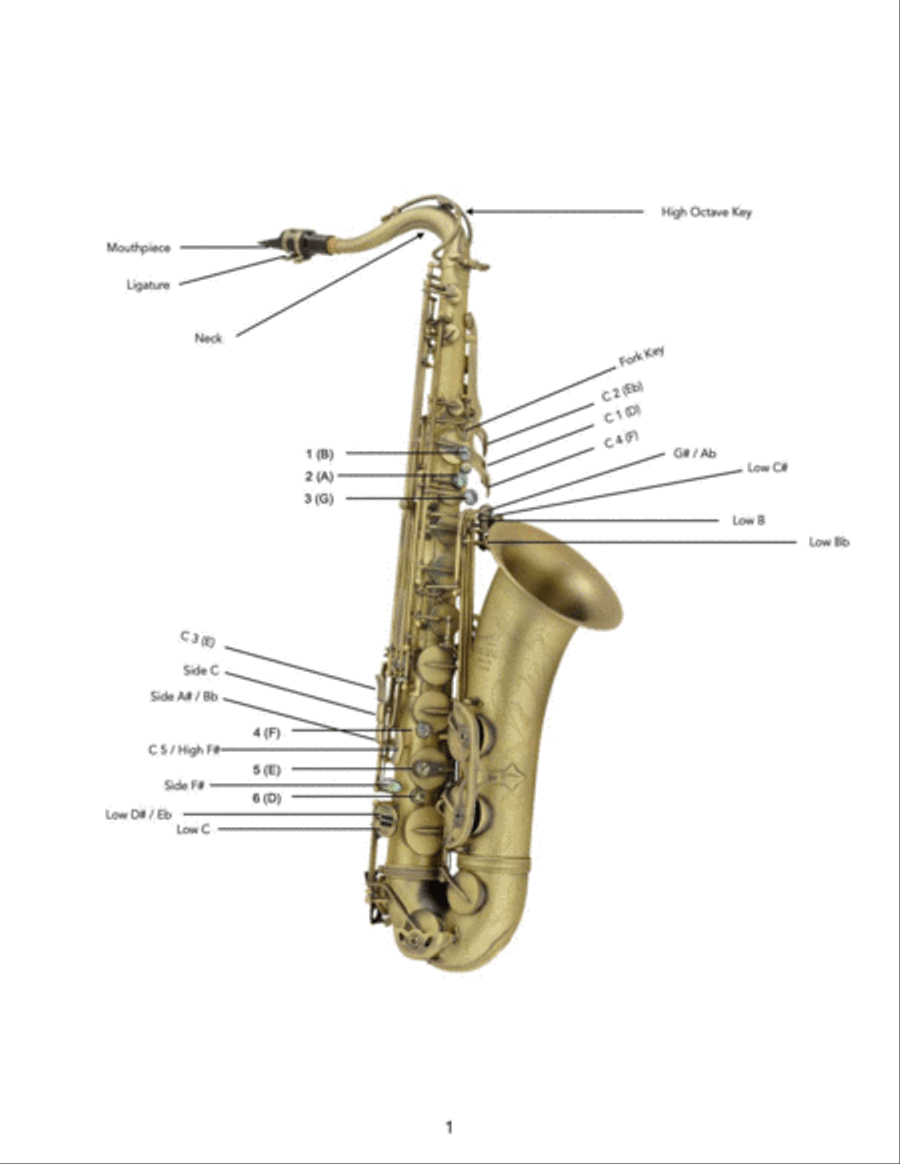 Altissimo saxophone hotsell