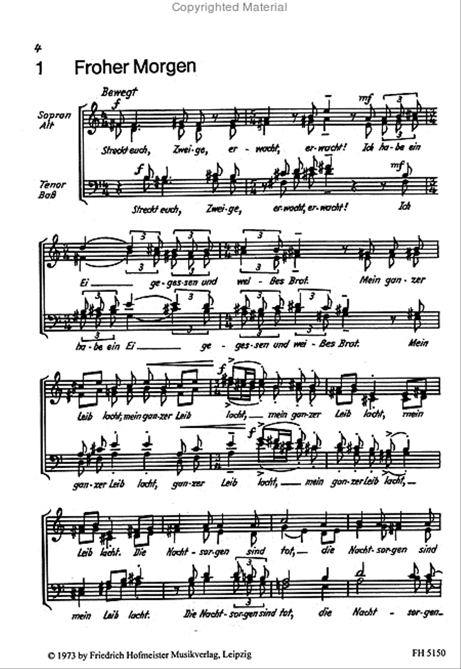 Wir haben in uns einen Sommer Mixed Choir scores gallery preview page 2