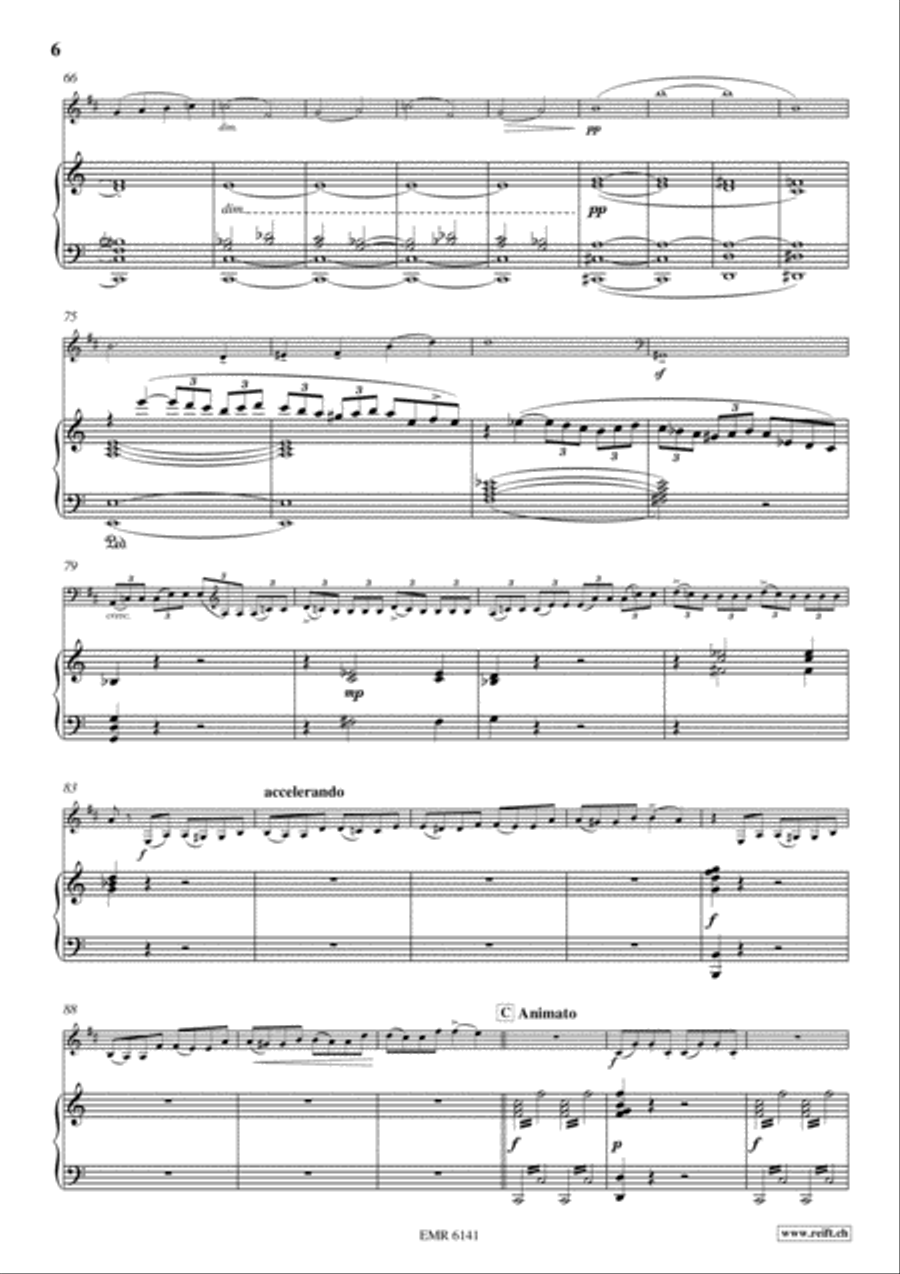 Concerto in A Minor Concerto in A Minor Flugelhorn scores gallery preview page 7