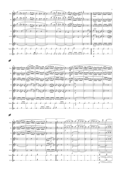 Slovenian Sonata for Flute Choir