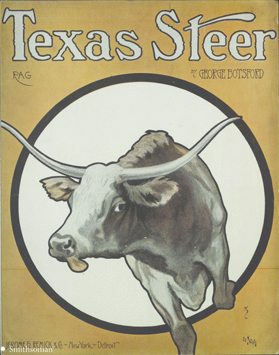 Texas Steer Rag image number null