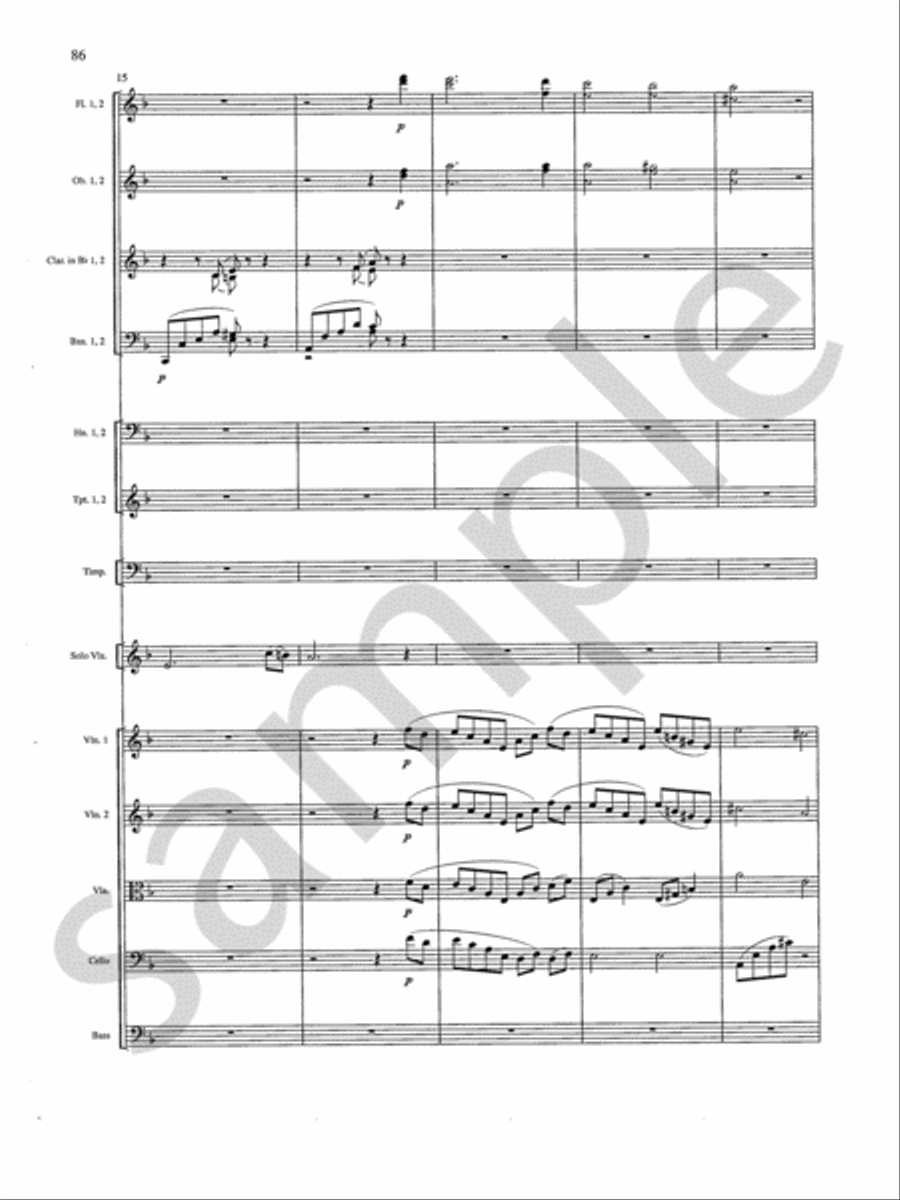 Concerto Orchestra scores gallery preview page 18