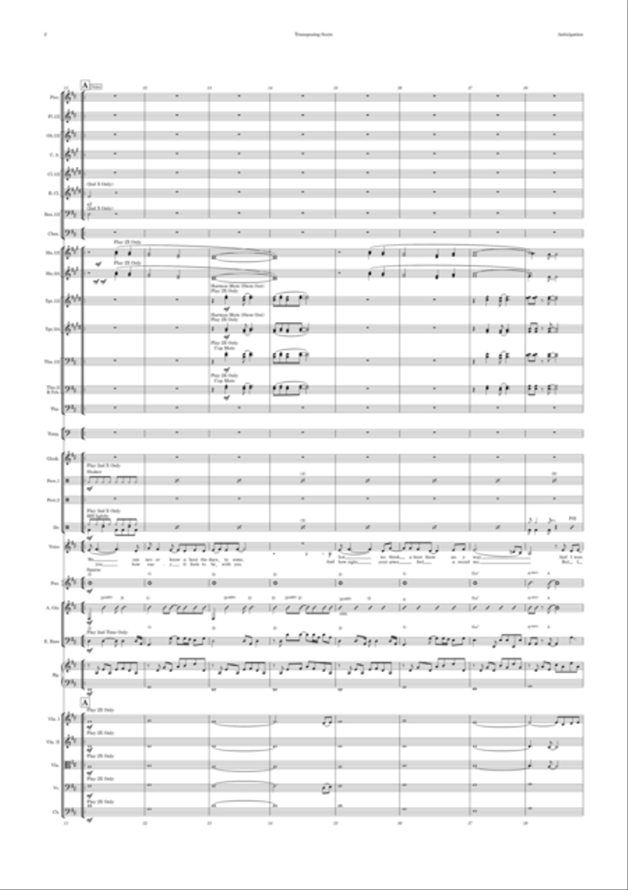Anticipation Anticipation Full Orchestra scores gallery preview page 2
