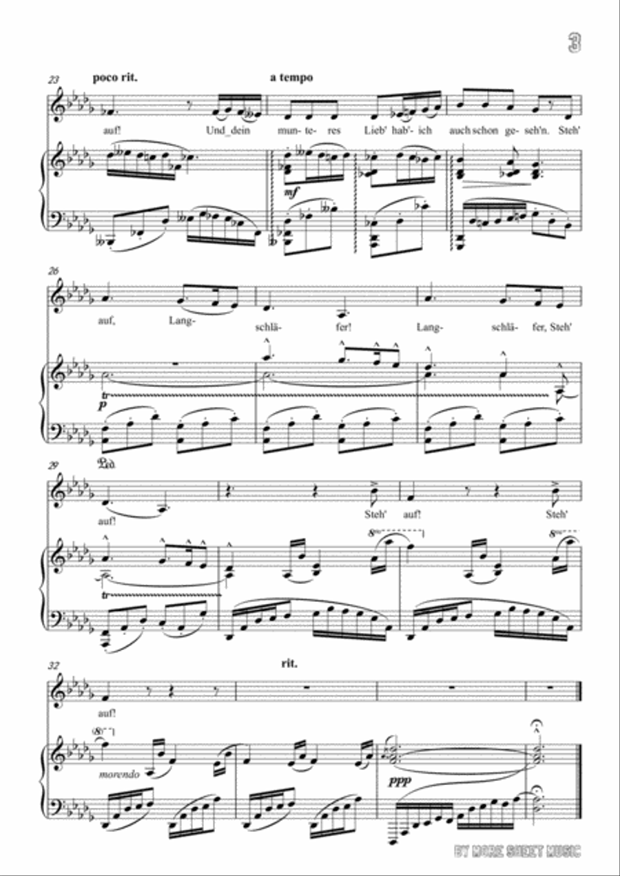 Mahler-Frühlingsmorgen in D flat Major,for Voice and Piano Voice Solo scores gallery preview page 5