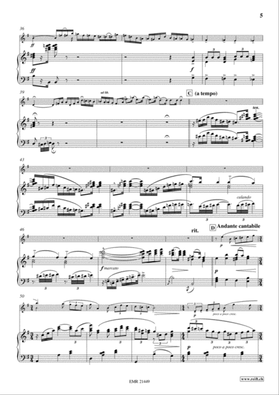 Concerto No. 7 Concerto No. 7 Tenor Recorder scores gallery preview page 5