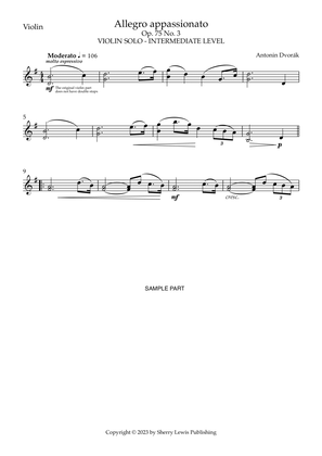 Book cover for Allegro appassionato Op.l 75 No. 3, Antonin Dvorák