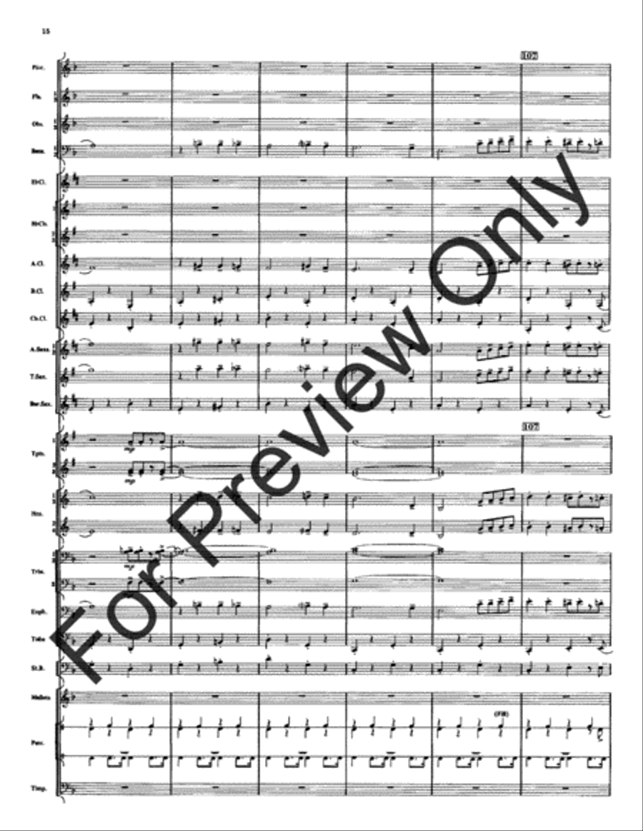 Spirit Of Texas (Score) Spirit Of Texas (Score) Concert Band scores gallery preview page 16
