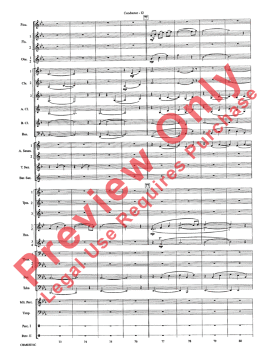 Band of Brothers, Symphonic Suite from Concert Band scores gallery preview page 15