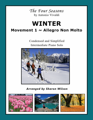 Book cover for WINTER: Movement 1 ~ Allegro Non Molto (from "The Four Seasons" by Vivaldi)