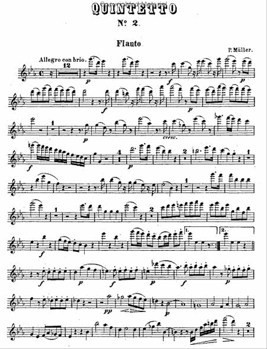 Drei Quintette Nr. 2 Woodwind Quintet scores gallery preview page 5