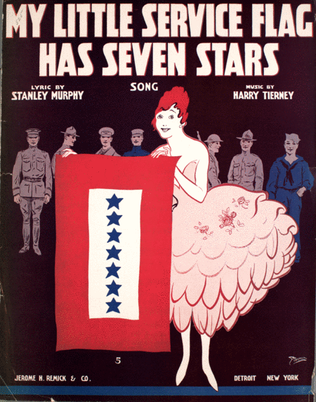 Book cover for My Little Service Flag Has Seven Stars. Song