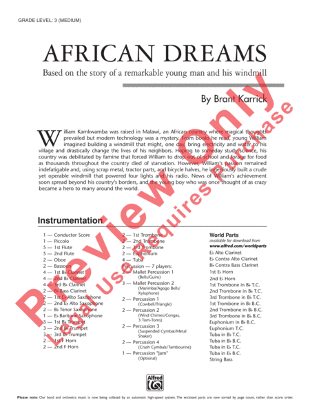 African Dreams image number null